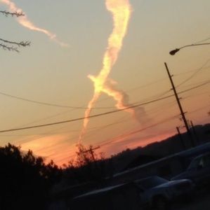 Meet your Posher, Corey